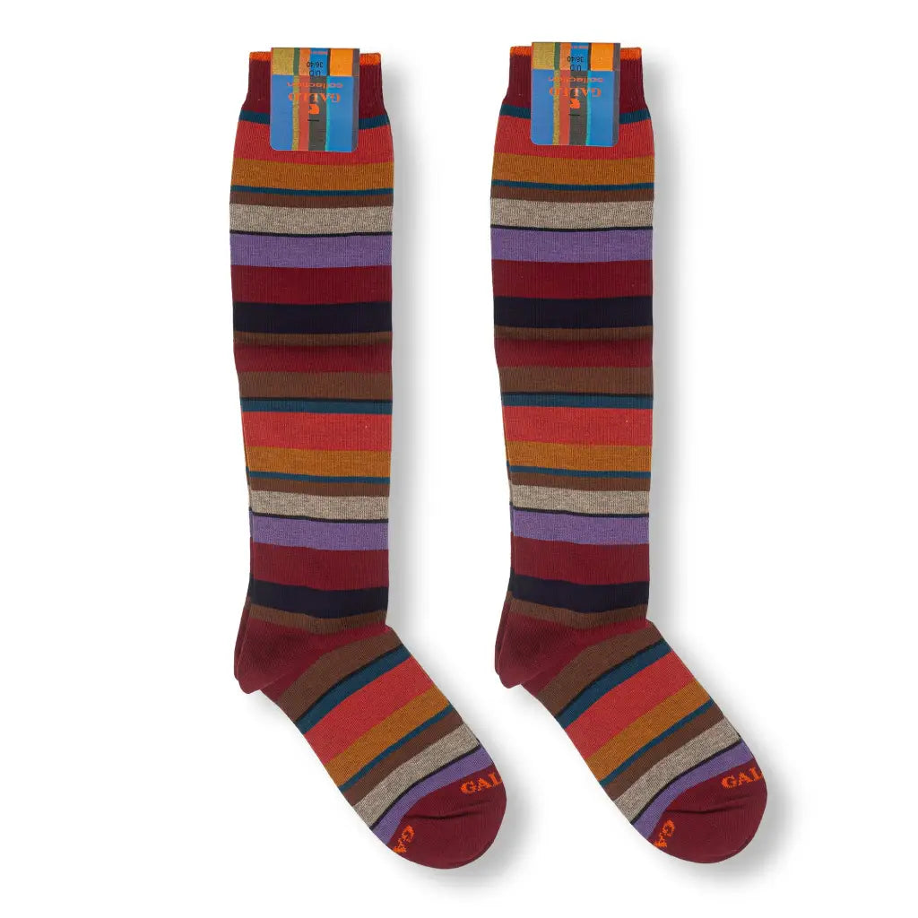 GALLO | Calzino lungo donna in caldo cotone Righe
