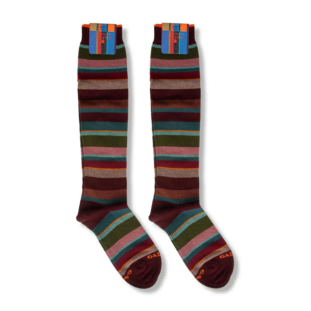 GALLO | Calzino lungo donna in caldo cotone Righe