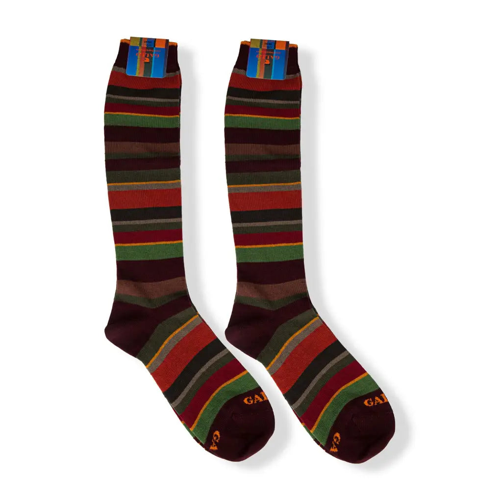 GALLO | Calzino lungo uomo in fantasia Riga Multicolor in