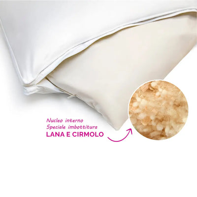 MARIOTTI BIANCHERIA | Guanciale in Piumino d’Oca