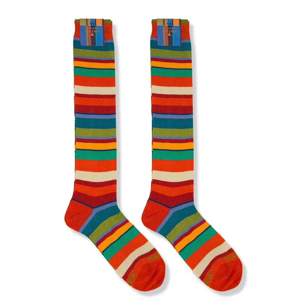 GALLO | Calzino lungo uomo in fantasia Riga Multicolor in
